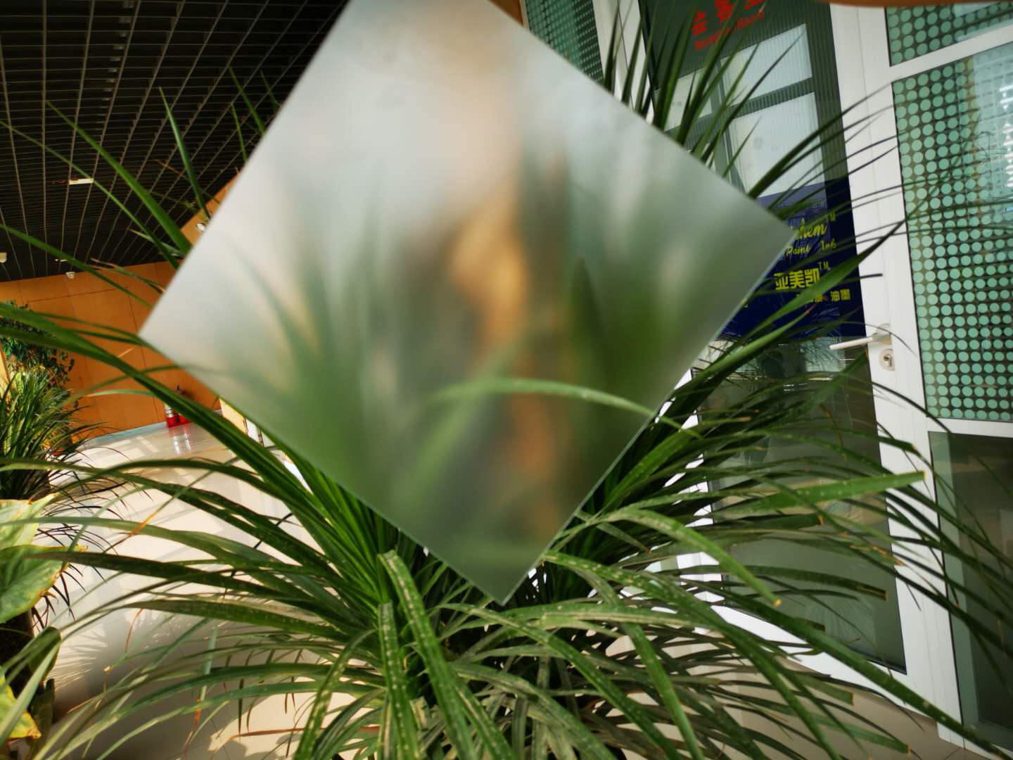 肌肤砂乐投手机注册